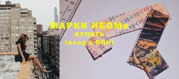 молекула духа Вяземский