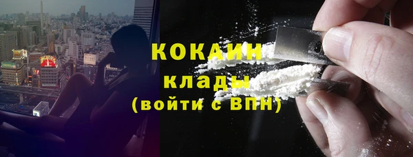 шишки Верея