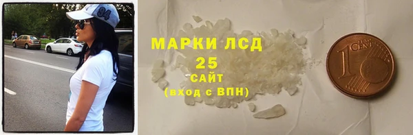 прущие грибы Краснослободск