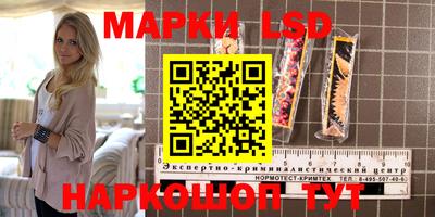 крисы Будённовск