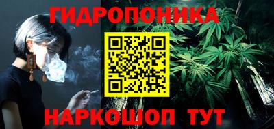 крисы Будённовск
