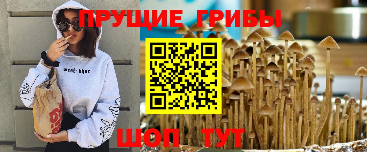 Галлюциногенные грибы ЛСД Дивногорск