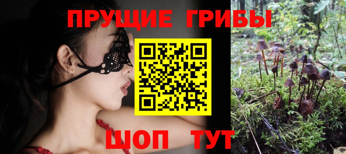 Галлюциногенные грибы Magic Shrooms  Вход с VPN  Дивногорск 